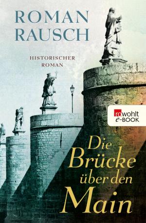 Cover of the book Die Brücke über den Main by Iris Radisch