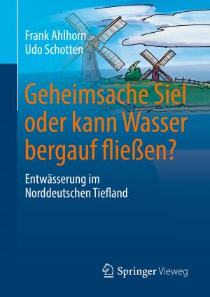 Cover of the book Geheimsache Siel oder kann Wasser bergauf fließen? by Alexander Roßnagel
