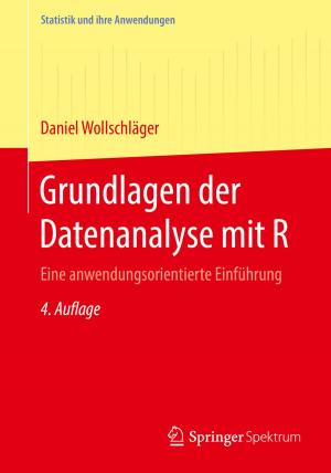 Cover of the book Grundlagen der Datenanalyse mit R by Peter Schmüser