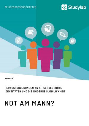 Cover of the book Not am Mann? Herausforderungen an krisenbedrohte Identitäten und die moderne Männlichkeit by Astrid Niehues