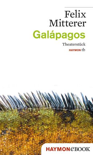 Cover of the book Galápagos by Klaus Merz