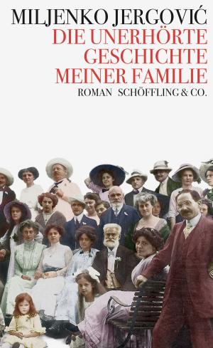 Cover of the book Die unerhörte Geschichte meiner Familie by Grace Paley, Christian Brandl