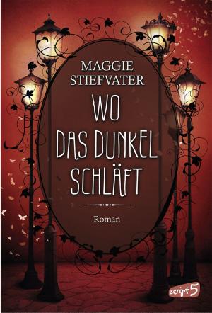 Cover of the book Wo das Dunkel schläft by Maggie Stiefvater