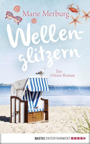 Cover of the book Wellenglitzern by Michaela Hansen