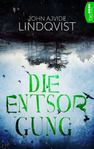 Cover of the book Die Entsorgung by Wolfgang Hohlbein