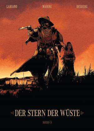 Cover of the book Der Stern der Wüste, Band 3 by Jenny Han