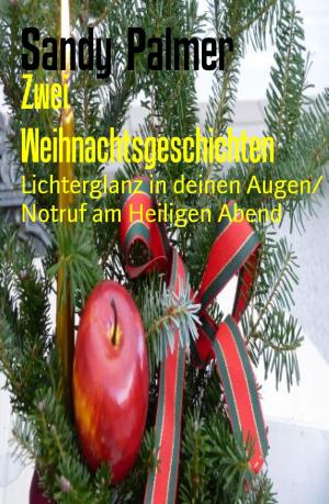 Cover of the book Zwei Weihnachtsgeschichten by Alfred Bekker, Glenn Stirling
