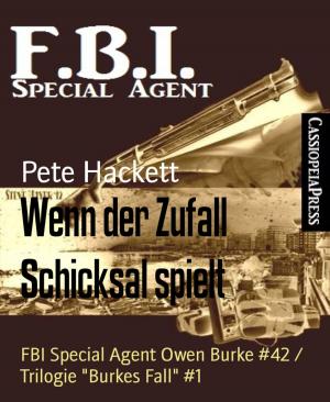 Cover of the book Wenn der Zufall Schicksal spielt by Mark Allan Gunnells