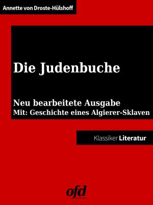 Cover of the book Die Judenbuche by Michael Schröpel