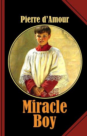 Book cover of Miracle Boy