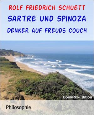 Cover of the book Sartre und Spinoza by Rittik Chandra