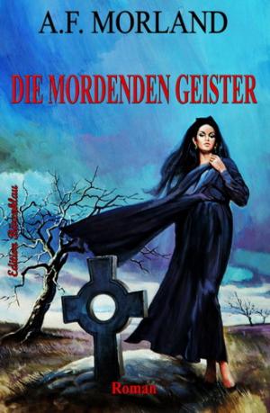 Cover of the book Die mordenden Geister by Hendrik M. Bekker