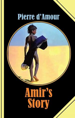 Cover of the book Amir's Story by Cedric Balmore