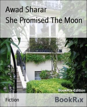Cover of the book She Promised The Moon by Dhruba Jyoti Gogoi, Jyatsnasree Bora