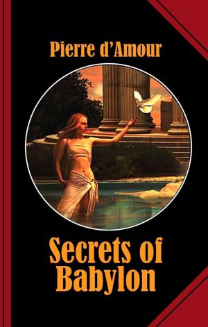 Cover of the book Secrets of Babylon by Kyra Keeley