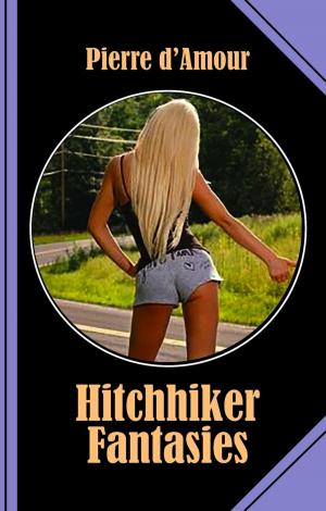Cover of the book Hitchhiker Fantasies by Don McAuley
