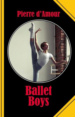 Cover of the book Ballet Boys by Stefan Wollschläger