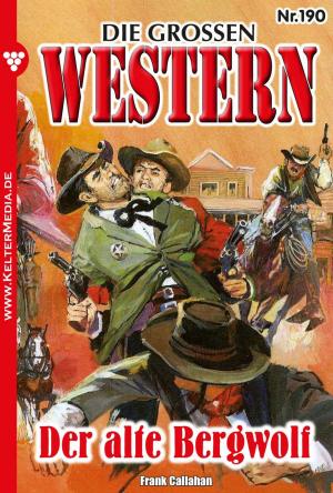 Cover of the book Die großen Western 190 by U.H. Wilken