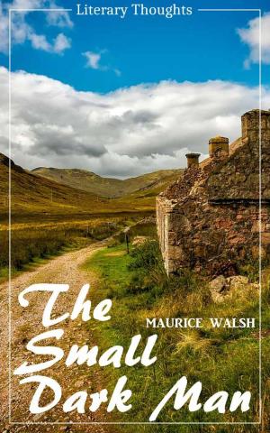 Cover of the book The Small Dark Man (Maurice Walsh) (Literary Thoughts Edition) by Pat Brave