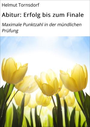 Cover of the book Abitur: Erfolg bis zum Finale by Jürgen Prommersberger