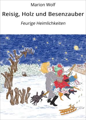 Book cover of Reisig, Holz und Besenzauber