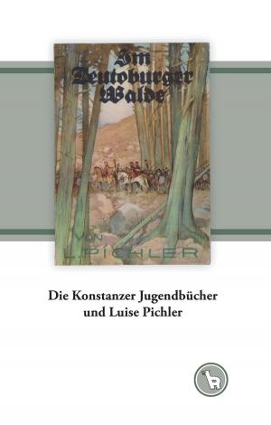 Cover of the book Die Konstanzer Jugendbücher und Luise Pichler by Katharina Kraemer