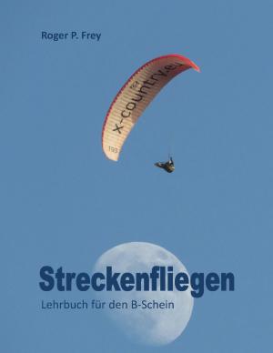 Cover of the book Streckenfliegen by Anne-Katrin Straesser
