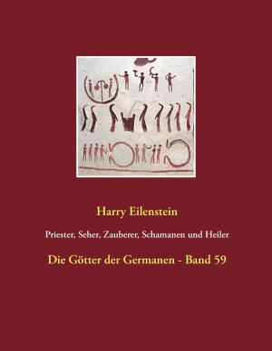 Cover of the book Priester, Seher, Zauberer, Schamanen und Heiler by Dudo Erny