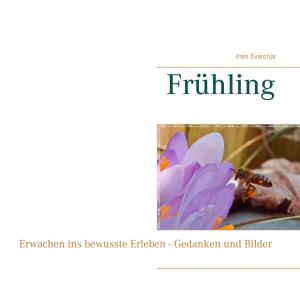 Cover of the book Frühling by Wolfgang Wallenda