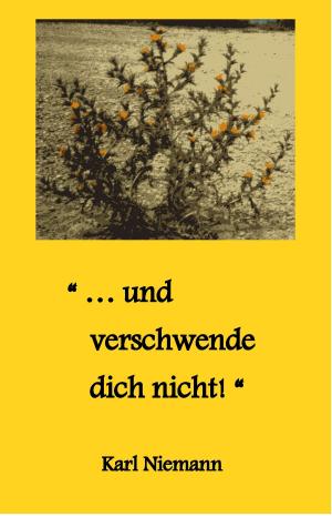 Cover of the book "... und verschwende dich nicht!" by Stella Carpentier