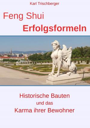 Book cover of Feng Shui Erfolgsformeln