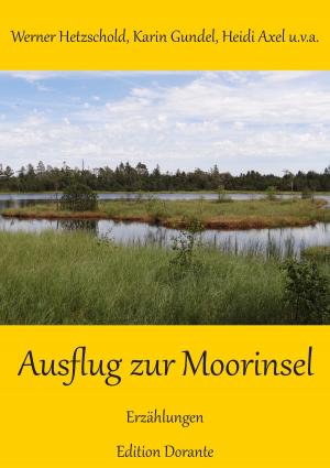 Cover of the book Ausflug zur Moorinsel by Hans-Peter Hummel