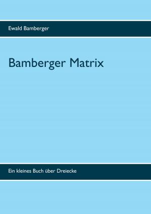 Cover of the book Bamberger Matrix by Jutta Schütz