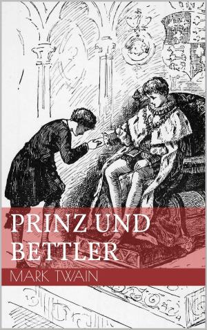 Cover of the book Prinz und Bettler by Hauke Berkholtz