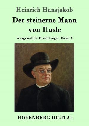 Cover of the book Der steinerne Mann von Hasle by Joachim Ringelnatz
