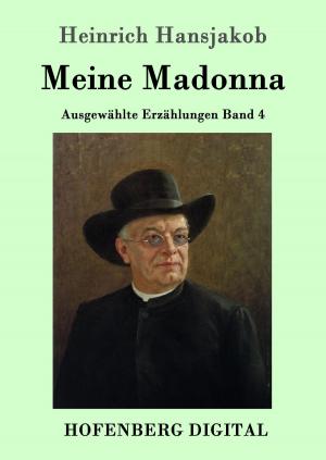 Cover of the book Meine Madonna by Annemarie Schwarzenbach