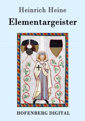Cover of the book Elementargeister by Georg Simmel