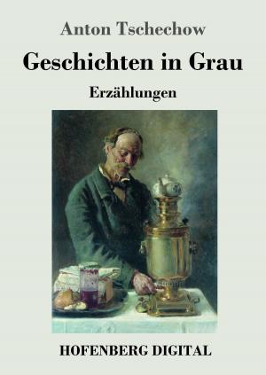 Cover of the book Geschichten in Grau by Jules Verne