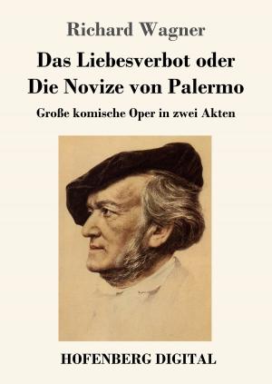 Cover of the book Das Liebesverbot oder Die Novize von Palermo by Theodor Fontane