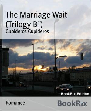 Book cover of The Marriage Wait (Trilogy B1)