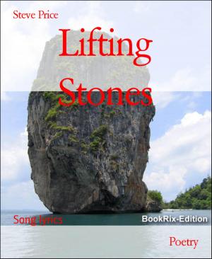Cover of the book Lifting Stones by Tatjana Kronschnabl