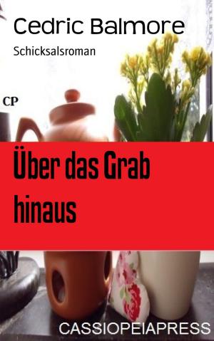 Cover of the book Über das Grab hinaus by Debbie Lacy