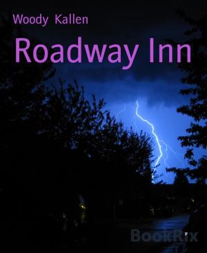 Cover of the book Roadway Inn by Roxanne Jade Regalado