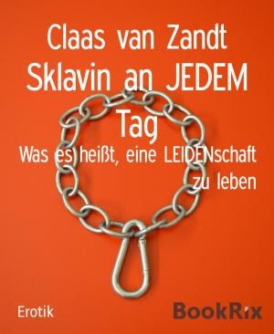 Cover of the book Sklavin an JEDEM Tag by Peter Dubina
