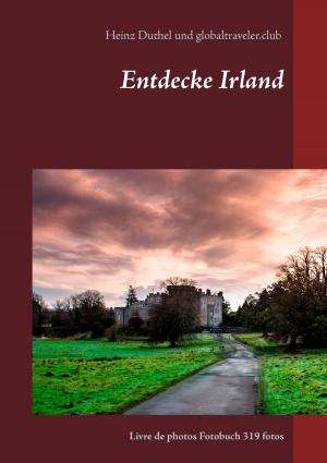 Cover of the book Entdecke Irland by Herold zu Moschdehner