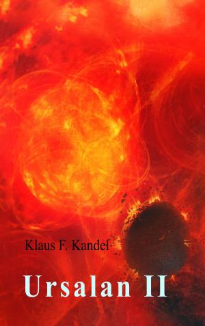 Cover of the book Ursalan II by Reinhart Brandau