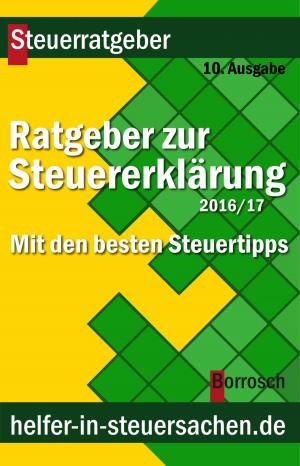 Book cover of Ratgeber zur Steuererklärung 2016/2017
