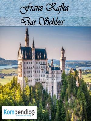 Cover of the book Das Schloss by Stephan Gurschke