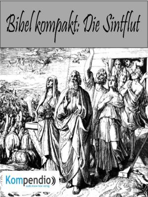 Cover of the book Die Sintflut by Peter Wimmer