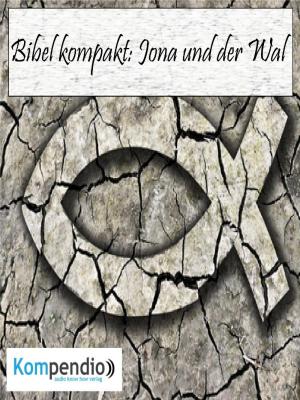 Cover of the book Jona und der Wal by Alessandro Dallmann
